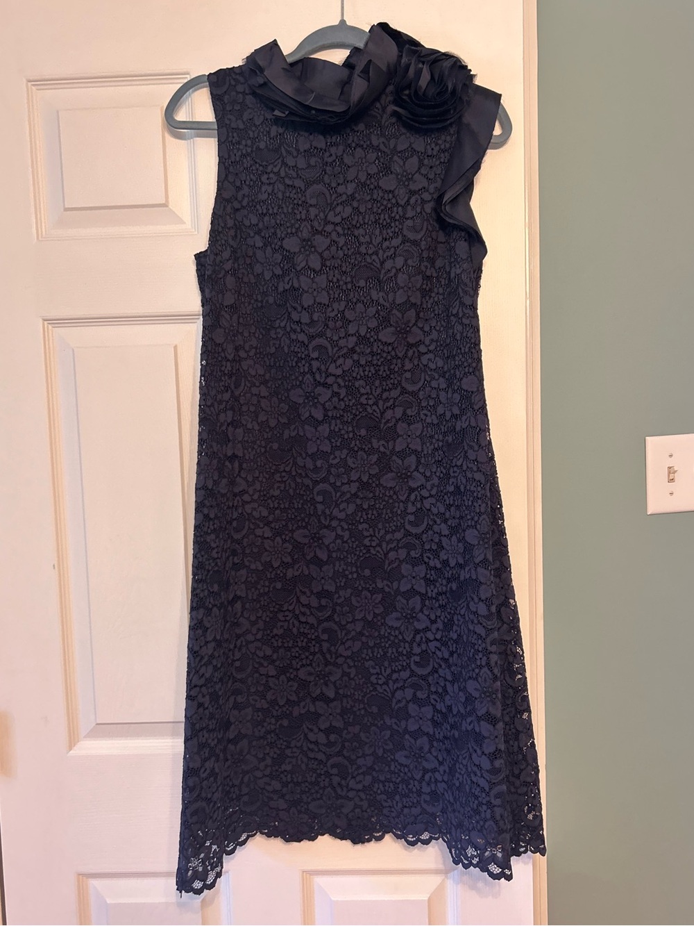 Teri Jon by Rickie Freeman Lace Dress